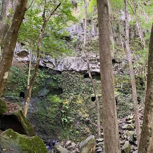 Meet your Posher, Kailee